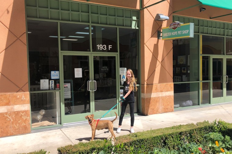 Imogen Jones walks a dog outside the Shelter Hope Pet Shop.