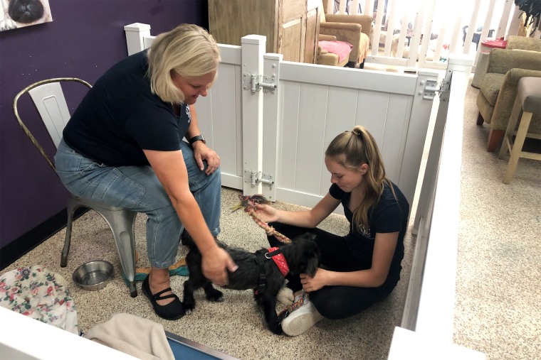 Imogen Jones, right, plays with a dog at the Shelter Hope Pet Shop in Thousand Oaks, Calif.