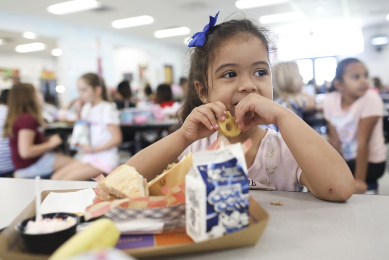 School lunches: Tampa