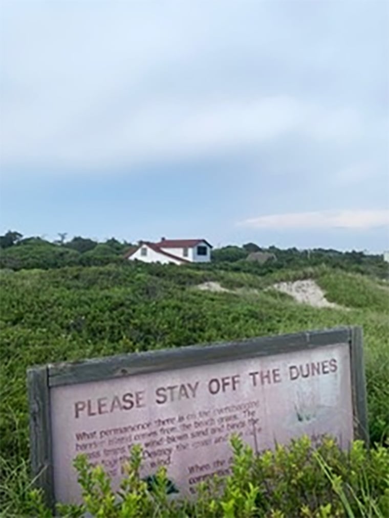View of Fire Island dunes.