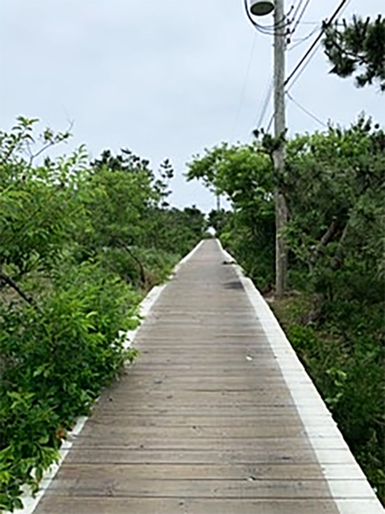 Fire Island.