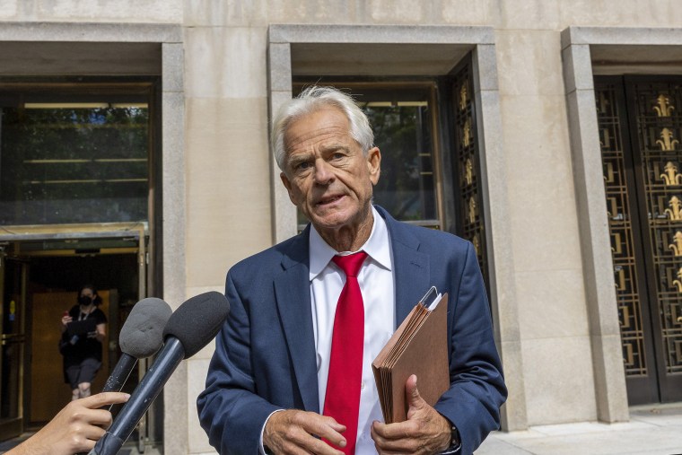 Former Trump Advisor Peter Navarro