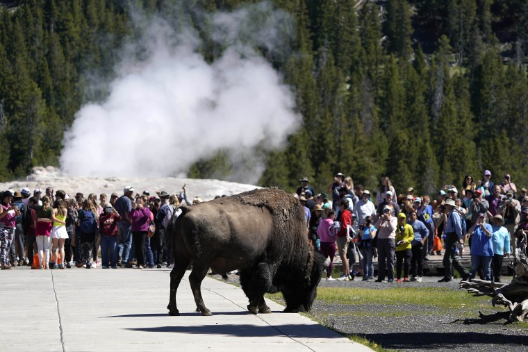 Image: Parts Of Yellowstone National Park Reopen After Historic Flooding