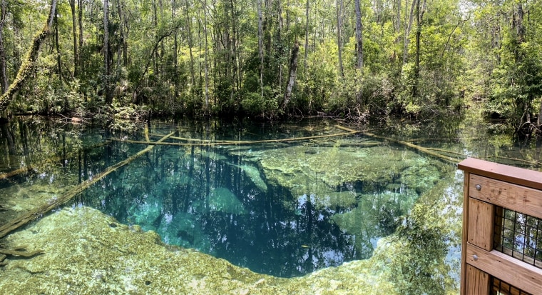 “Buford Springs Cave” which lies in the Chassahowitzka Wildlife Park in Weeki Wachee, Fla.