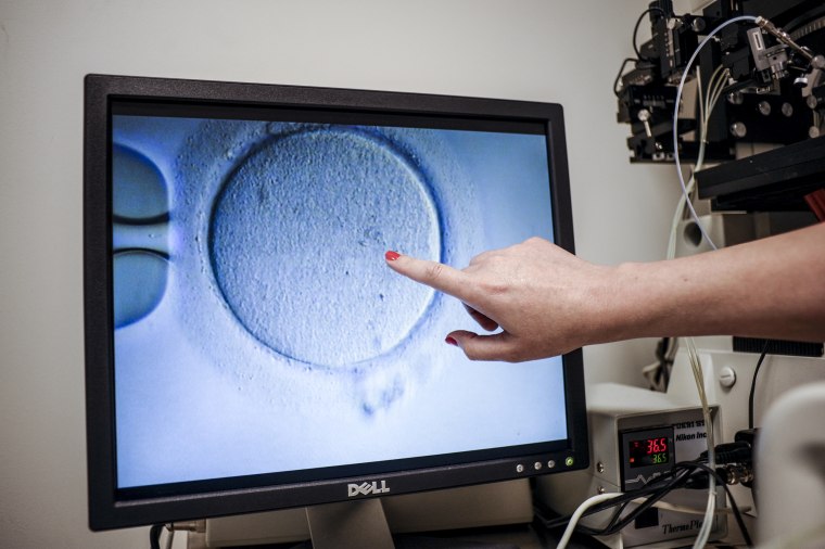 Image: An embryologist shows an ovocyte after it was inseminated at the Virginia Center for Reproductive Medicine on June 12, 2019 in Reston, Va.