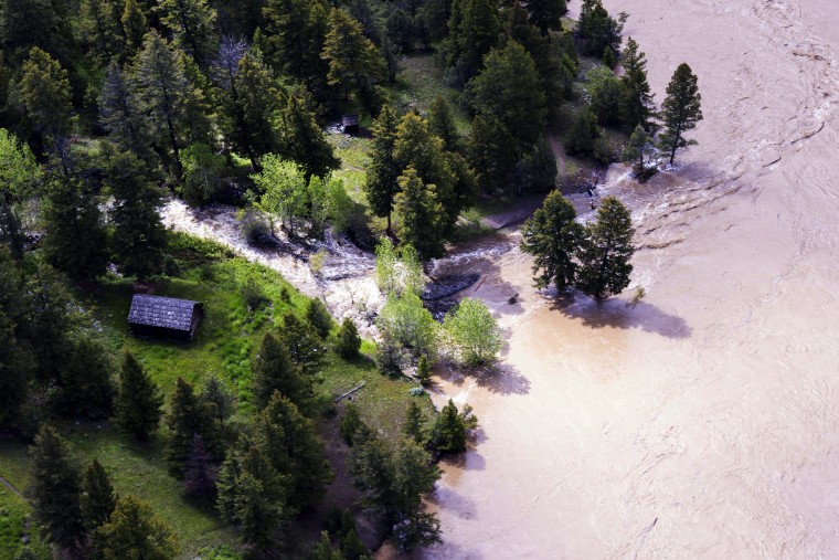 Evacuan El Parque Nacional Yellowstone: Salen Más De 10,000 Personas ...