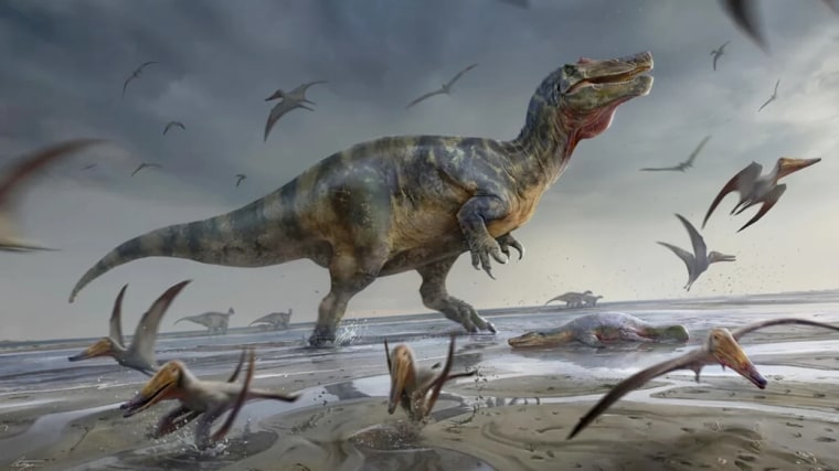 Hallan los restos de un megadinosaurio carnívoro en Europa: una bestia de  dos patas con cara de cocodrilo
