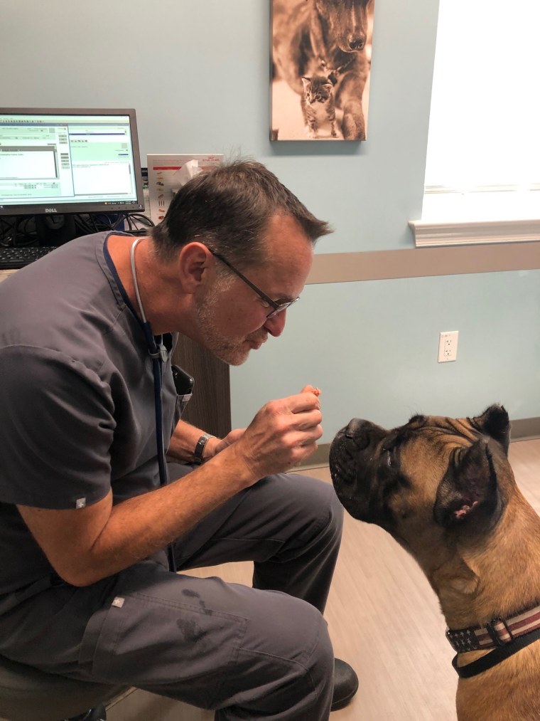 Although being a veterinarian can be stressful, Rossi finds it 