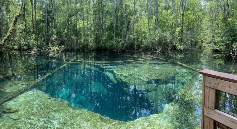 Two divers died in a possible drowning while cave diving in Buford Spring in Florida's Chassahowitzka Wildlife Park.  