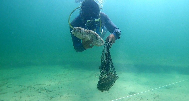 David Domínguez Cano, pescador y buzo en las costas de Progreso, Yucatán, el 28 de abril de 2022.