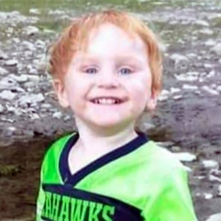 How Ryker Webb, Age 3, Survived Two Days Alone In Rural Montana