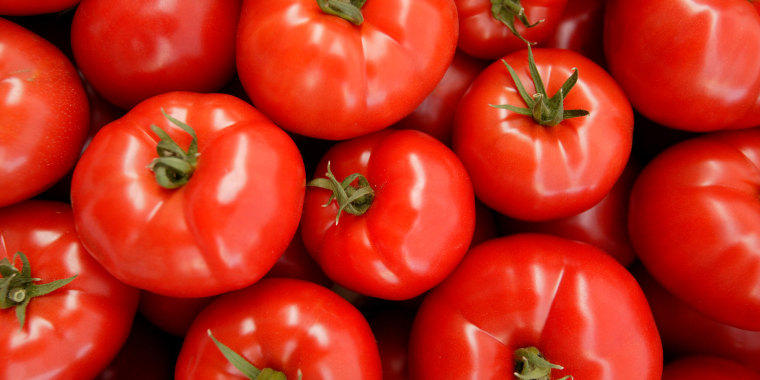 Tomatoes are a popular crop around the world. 