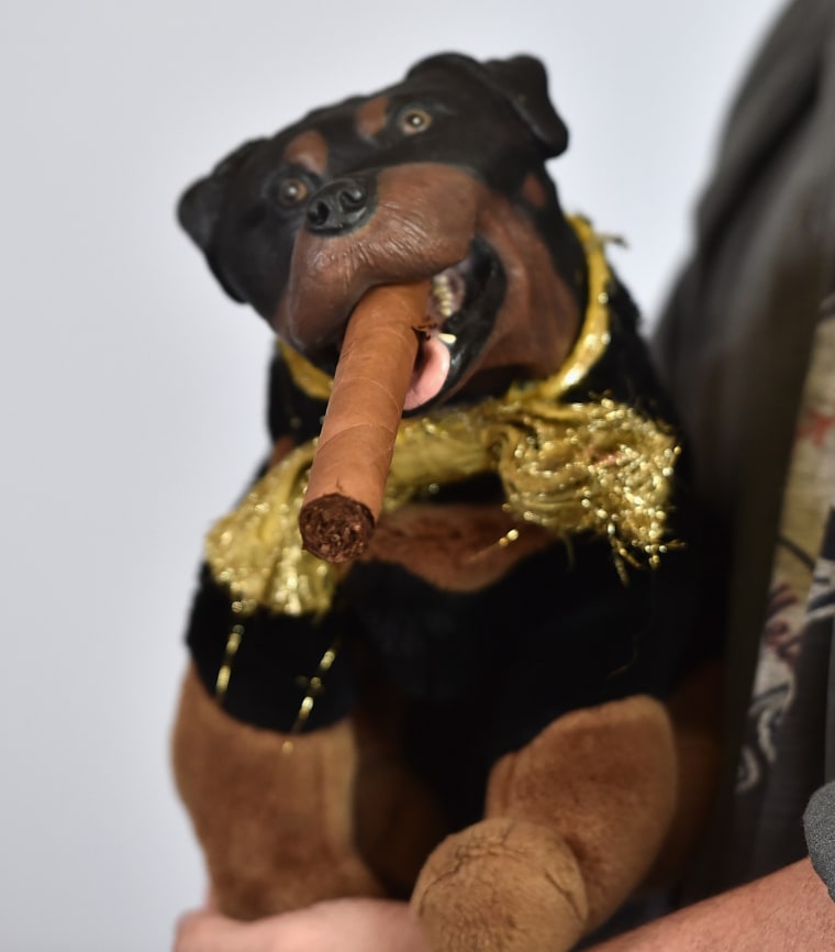Triumph the Insult Dog