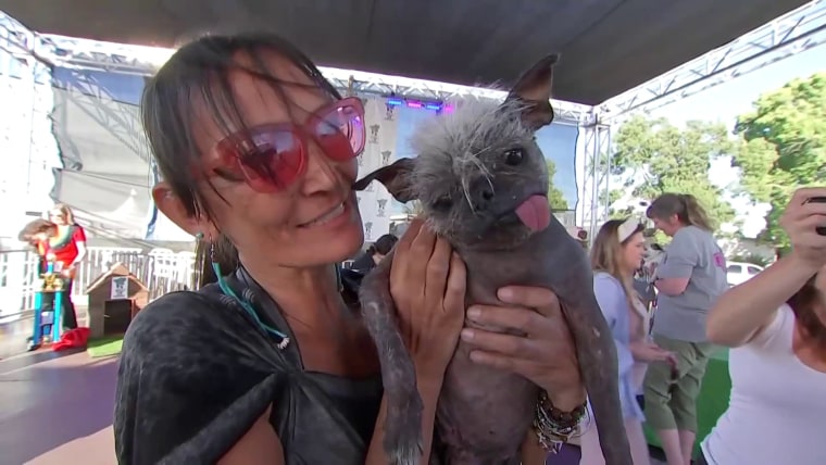 Mr. Happy Face and his owner, Janeda Banelly, at the "World's Ugliest Dog" contest.