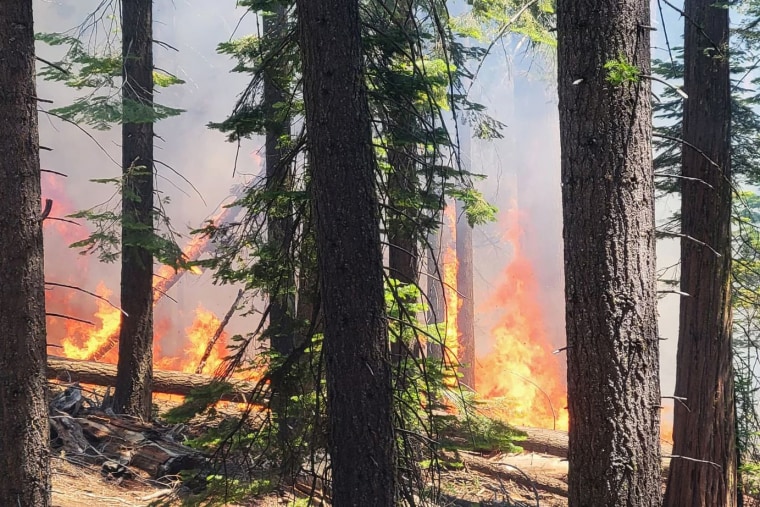 The Washburn fire burning near the lower portion of the Mariposa Grove at Yosemite National Park on Thursday.