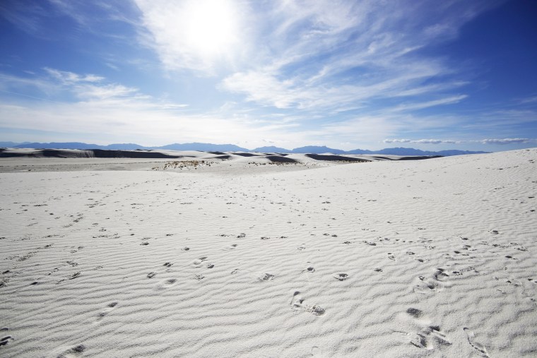 Footprints cover the surface of a dune in White Sands National Park