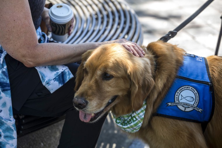 People come to mourn and interact with comfort dogs at memorial sites around the city center as Central Street reopened to the public on July 10, 2022, in Highland Park, Ill.