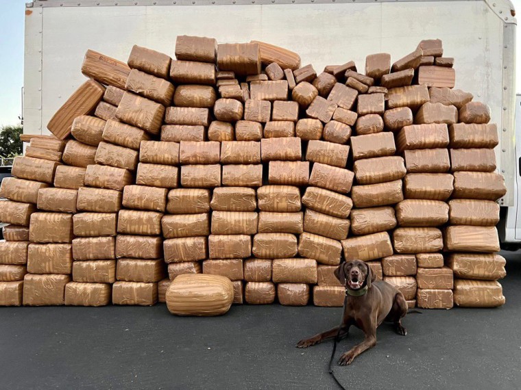 Federal authorities in San Diego County said more than 5,000 pounds of methamphetamine was seized in one of the county's biggest busts ever. 