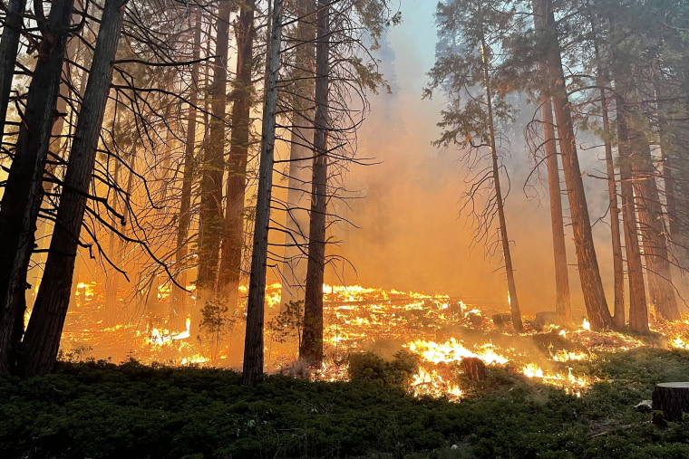 Image: Firefighters conduct early morning backfiring operations near the South Entrance on July 11, 2022 in Yosemite National Park, Calif.