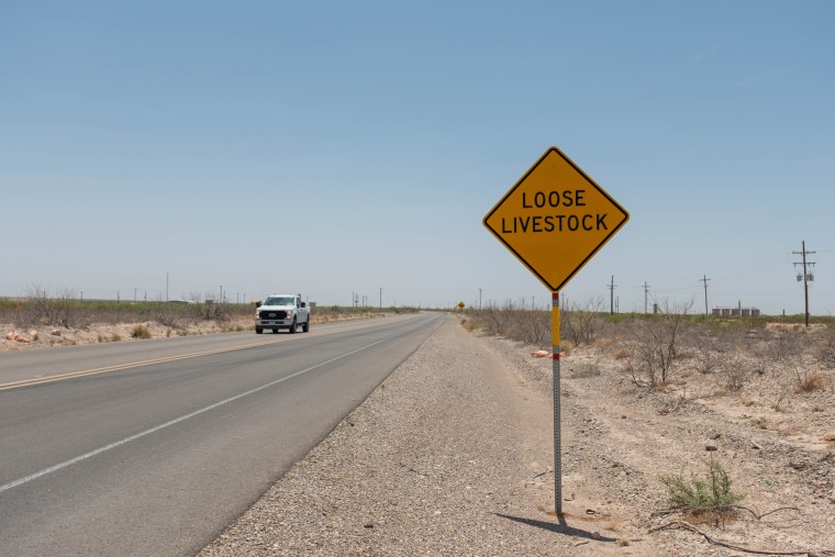 The investigation into the judge and his ranch hands started with the shooting deaths of five black cattle found near a remote Texas highway. 