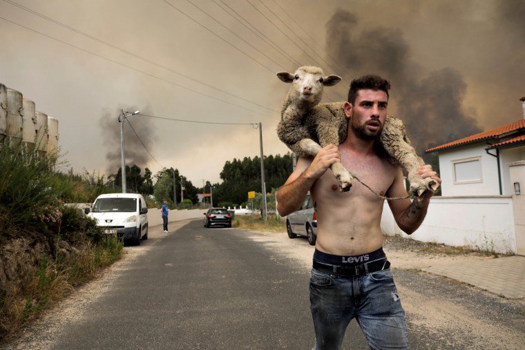 Wild fire in Leiria, Portugal - 12 Jul 2022