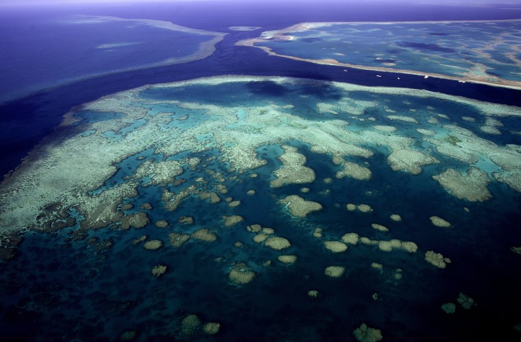 Image: The Great Barrier Reef, Queensland, Australia