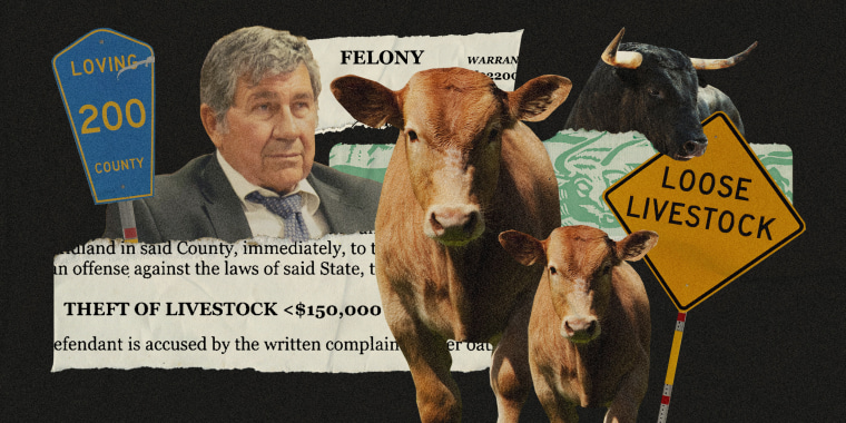 Photo Illustration of the felony warrant on theft of livestock, brown cows, a black bull, a traffic sign for Loving County, and a "Loose Livestock" sign found in loving county.