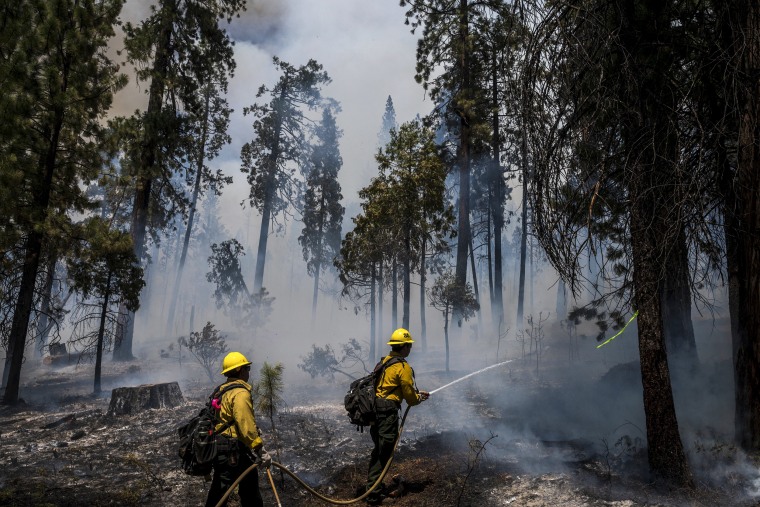 Image: Firefighters put out hot spots from the Washburn Fire in Yosemite National Park, Calif. on July 11, 2022.