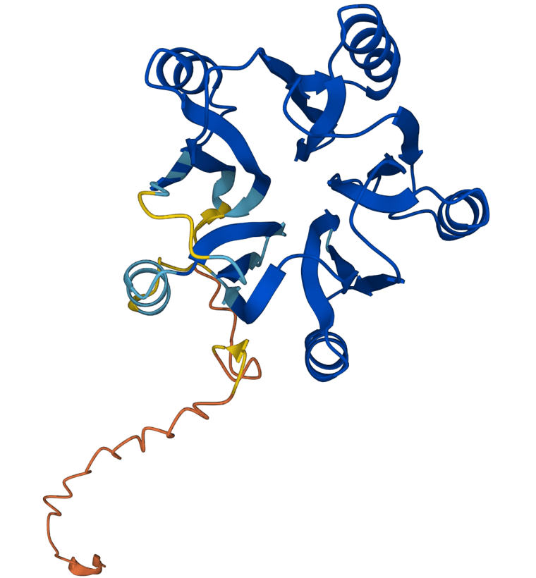 AlphaFold's prediction for the structure of protein F20H23.2.