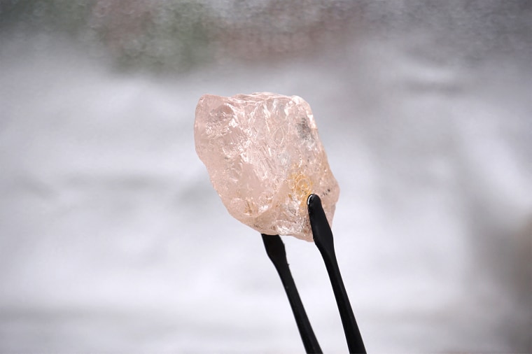 the Lulo Rose