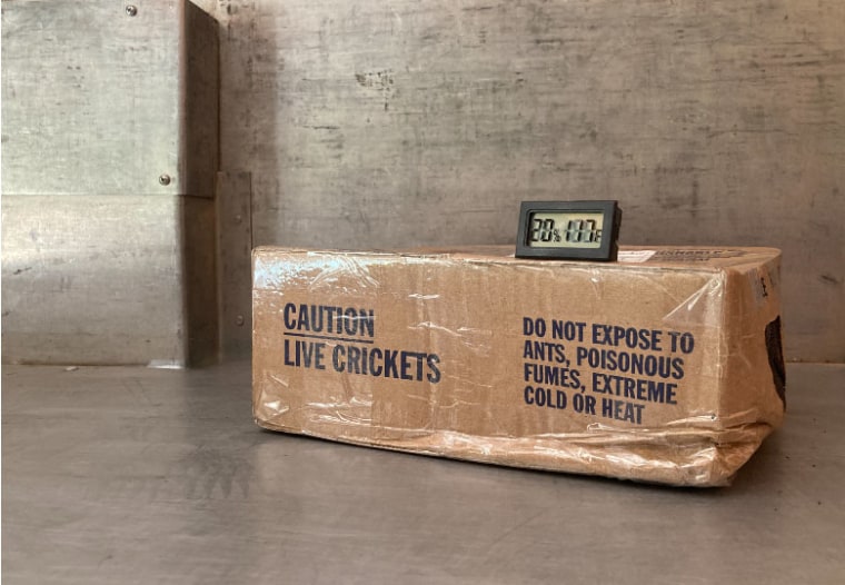 A thermometer on a box of crickets in an Oklahoma UPS truck reads 117 F.