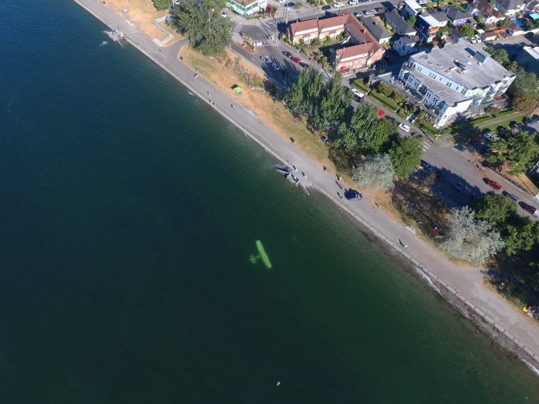 The single-engine plane was submerged off the coast of Alki Beach.