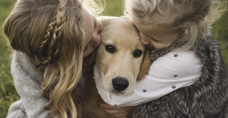 Dogs can bring joy to children.