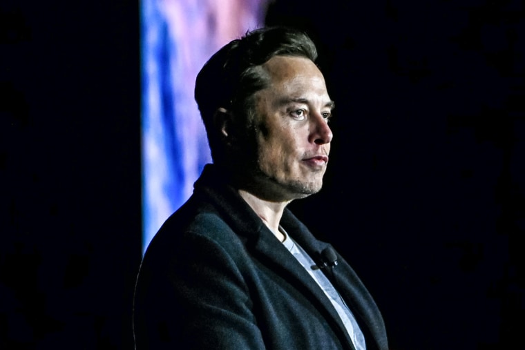 SpaceX CEO Elon Musk in Boca Chica, Texas, on Feb. 10.