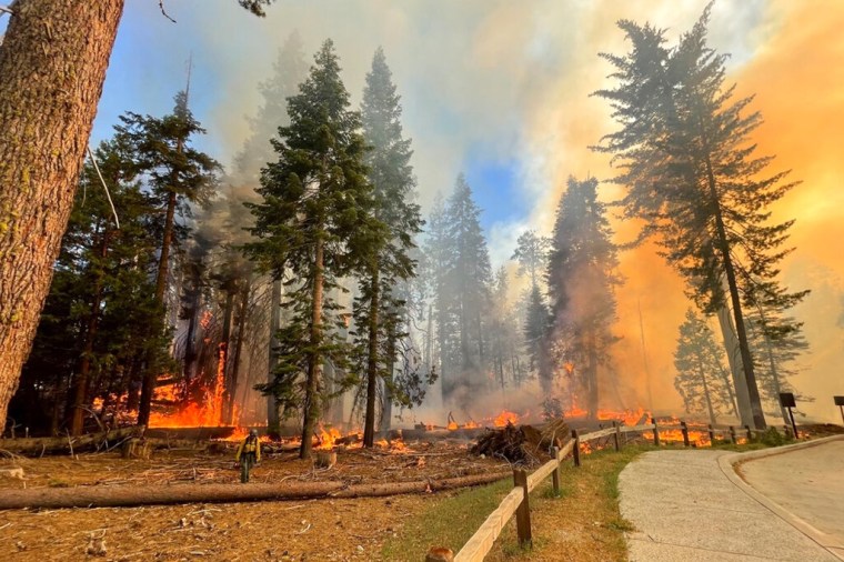 Una imagen del incendio en una zona del Parque Nacional Yosemite el 7 de julio de 2022.