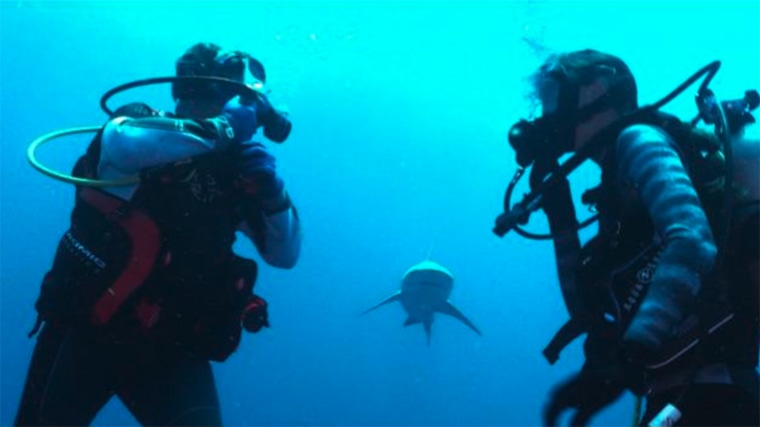 Kerry Sanders (left) does an underwater interview with a scientist as a bull shark approaches.