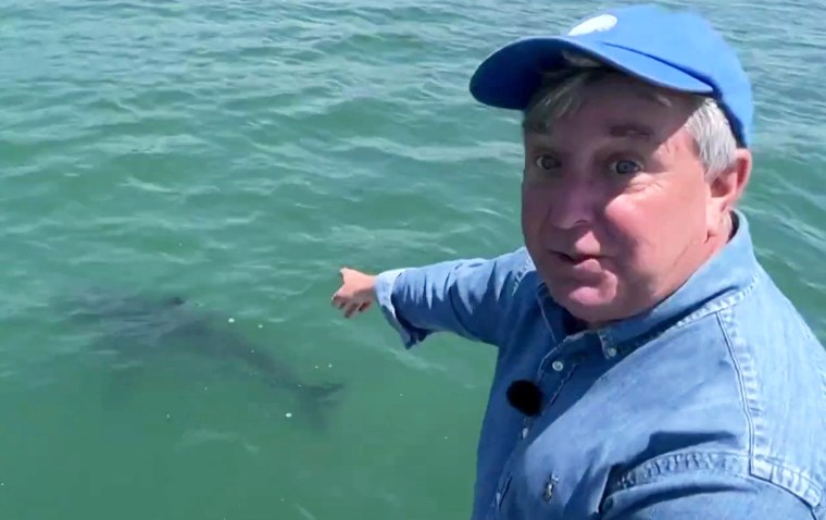 Kerry Sanders points out a shark during an assignment.