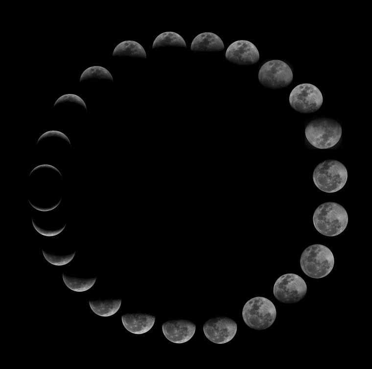 Lunar Phases Vector Illustration Moon Phase Cycle New Moon Full