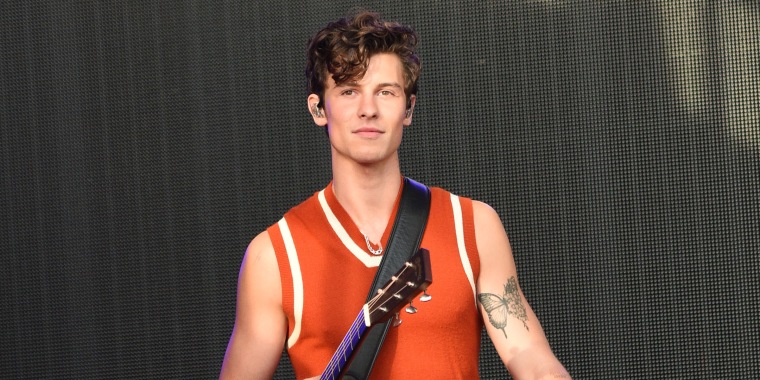 Shawn Mendes Postpones Concerts Due to Mental Health Challenges