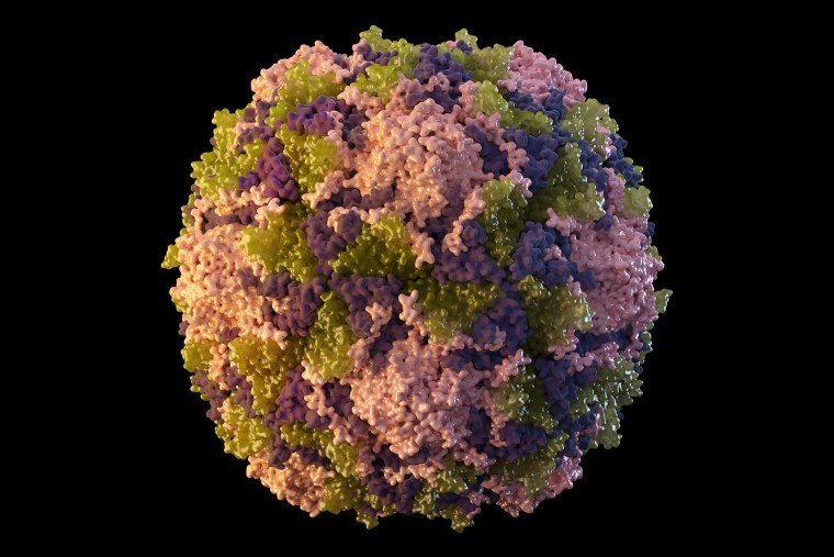 This 2014 illustration made available by the U.S. Centers for Disease Control and Prevention depicts a polio virus particle.