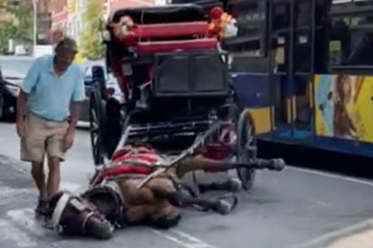 A carriage horse collapsed in Midtown on Aug. 10, 2022, in New York.