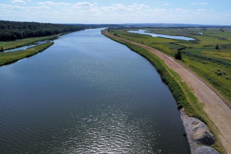 Image: GERMANY-POLAND-ENVIRONMENT-ANIMAL-FISH