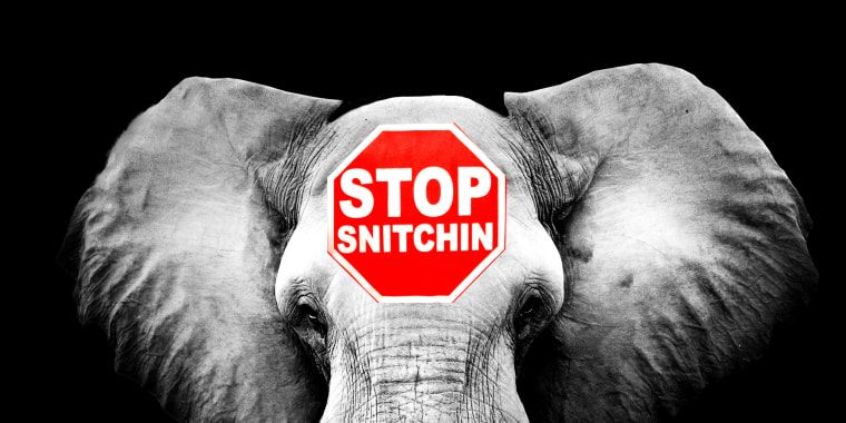 Photo illustration: An elephant head with a red sign that reads,"Stop snitchin".