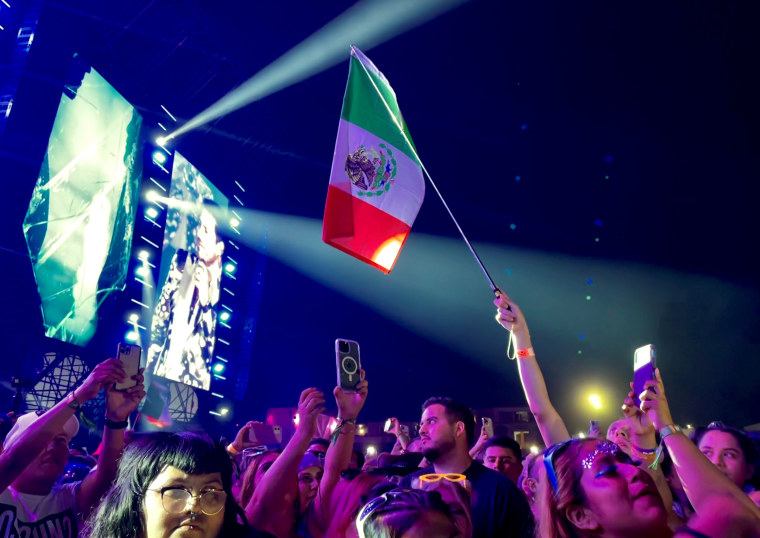 A fan waves a Mexican flag at the Baja Beach Fest.
