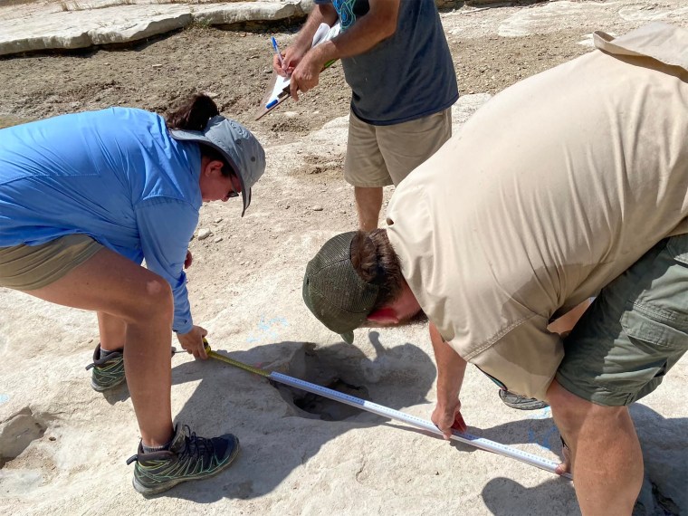 Dinosaur tracks are measured in Dinosaur Valley State Park in Glen Rose, Texas.