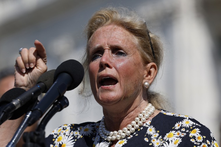 Image: Rep. Debbie Dingell at a news conference outside the Capitol on Aug.12, 2022.