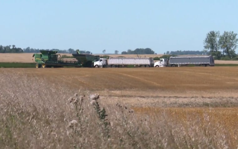 A harvest machine and trucks near the wheat fields in Towner County.