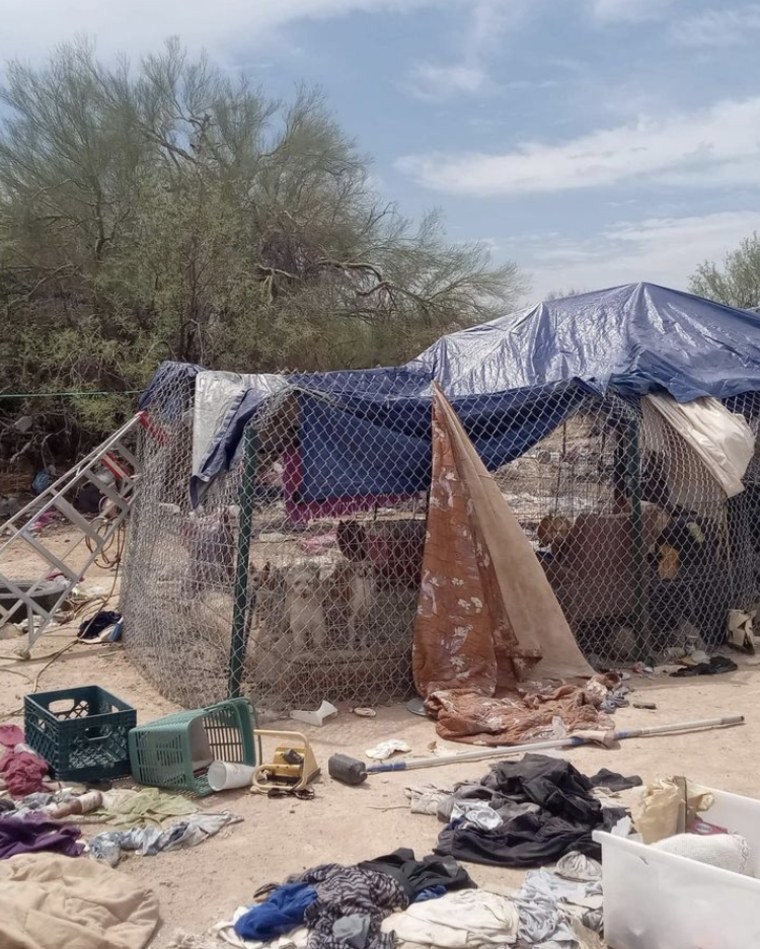 Part of the encampment where the dogs were found.