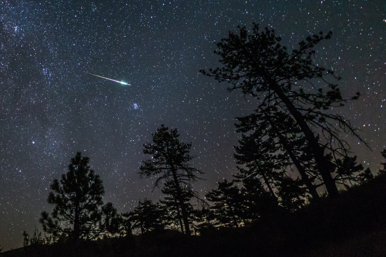 2016 Perseid Meteor Fireball Streaks Above black silhouette of Pine Trees