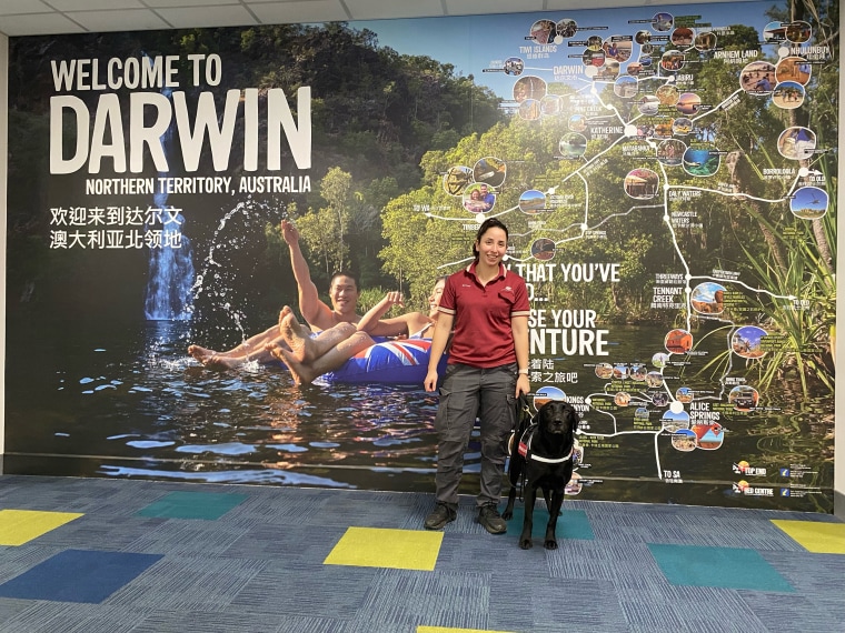 Zinta stands at Darwin International Airport with a handler.